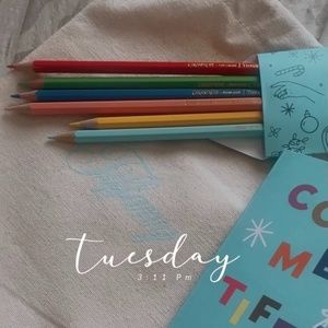 Authentic Tiffanys Canvas Jaw String Coloring Set (Bag ONLY)